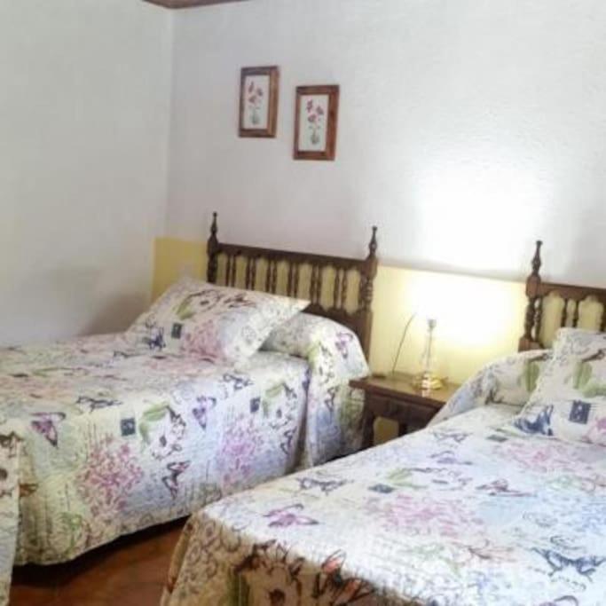 Casa Rural Barangua En El Pirineo Aragones Санта-Крус-де-ла-Серос Экстерьер фото